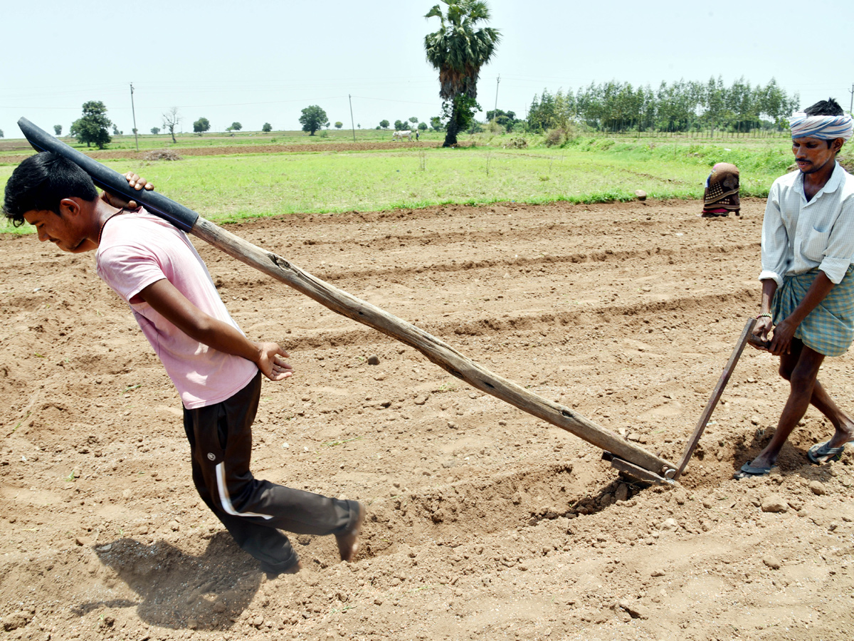 Best pics of The Week in AP and Telangana july 21 to july 28 2019 - Sakshi9