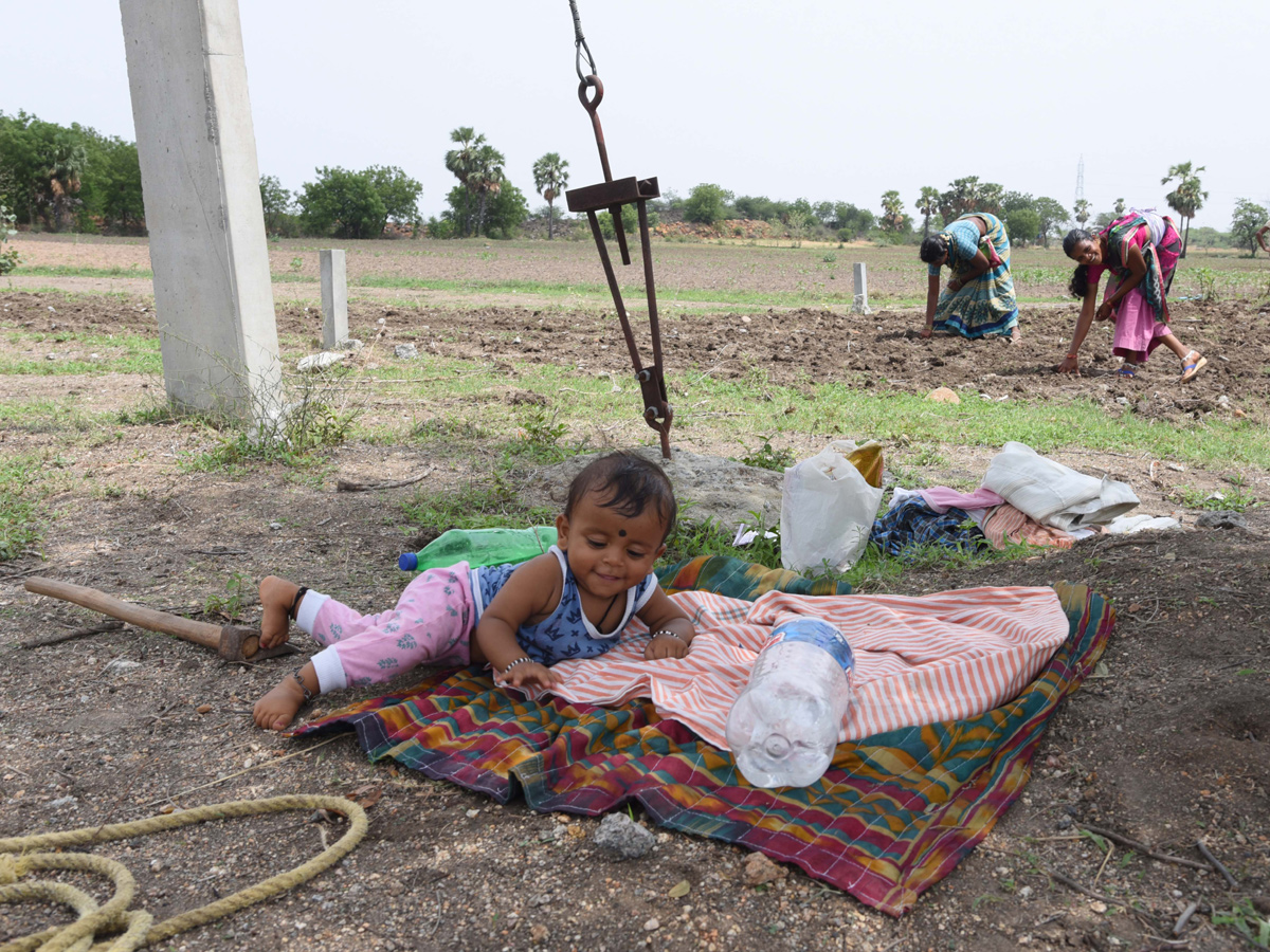 Best pics of The Week in AP and Telangana july 21 to july 28 2019 - Sakshi19