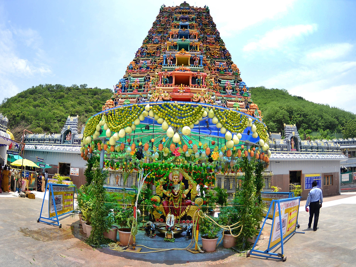 Best pics of The Week in AP and Telangana july 21 to july 28 2019 - Sakshi1