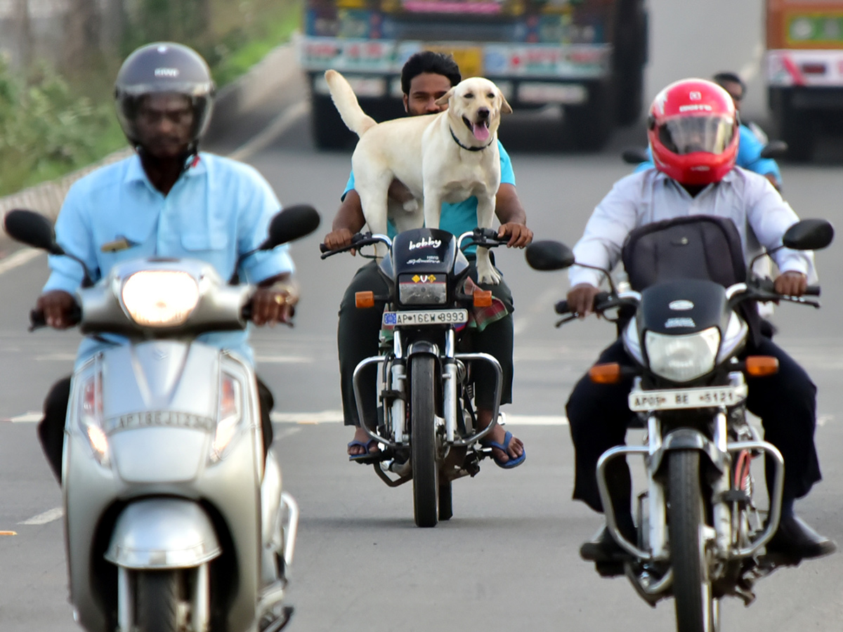 Best pics of The Week in AP and Telangana july 21 to july 28 2019 - Sakshi24