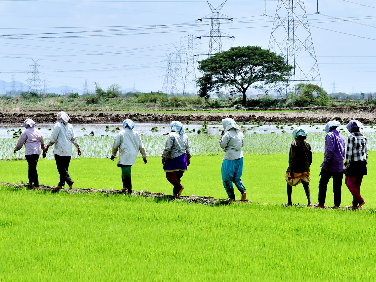 Best pics of The Week in AP and Telangana july 21 to july 28 2019 - Sakshi25
