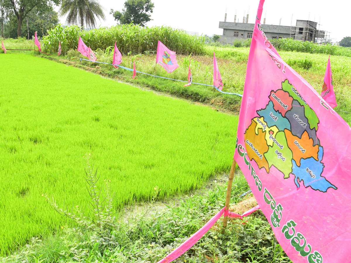 Best pics of The Week in AP and Telangana july 21 to july 28 2019 - Sakshi27