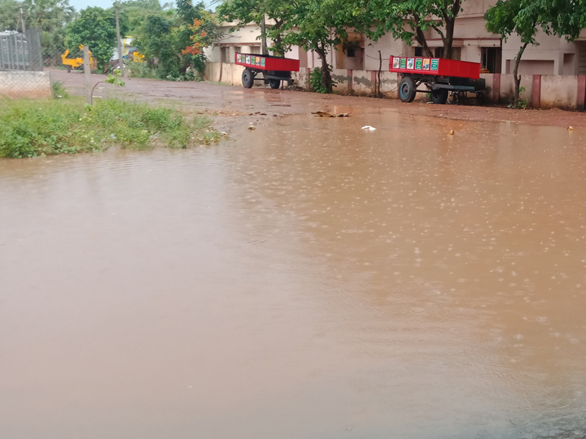 Heavy Rain in Andhra Pradesh Photo Gallery - Sakshi11