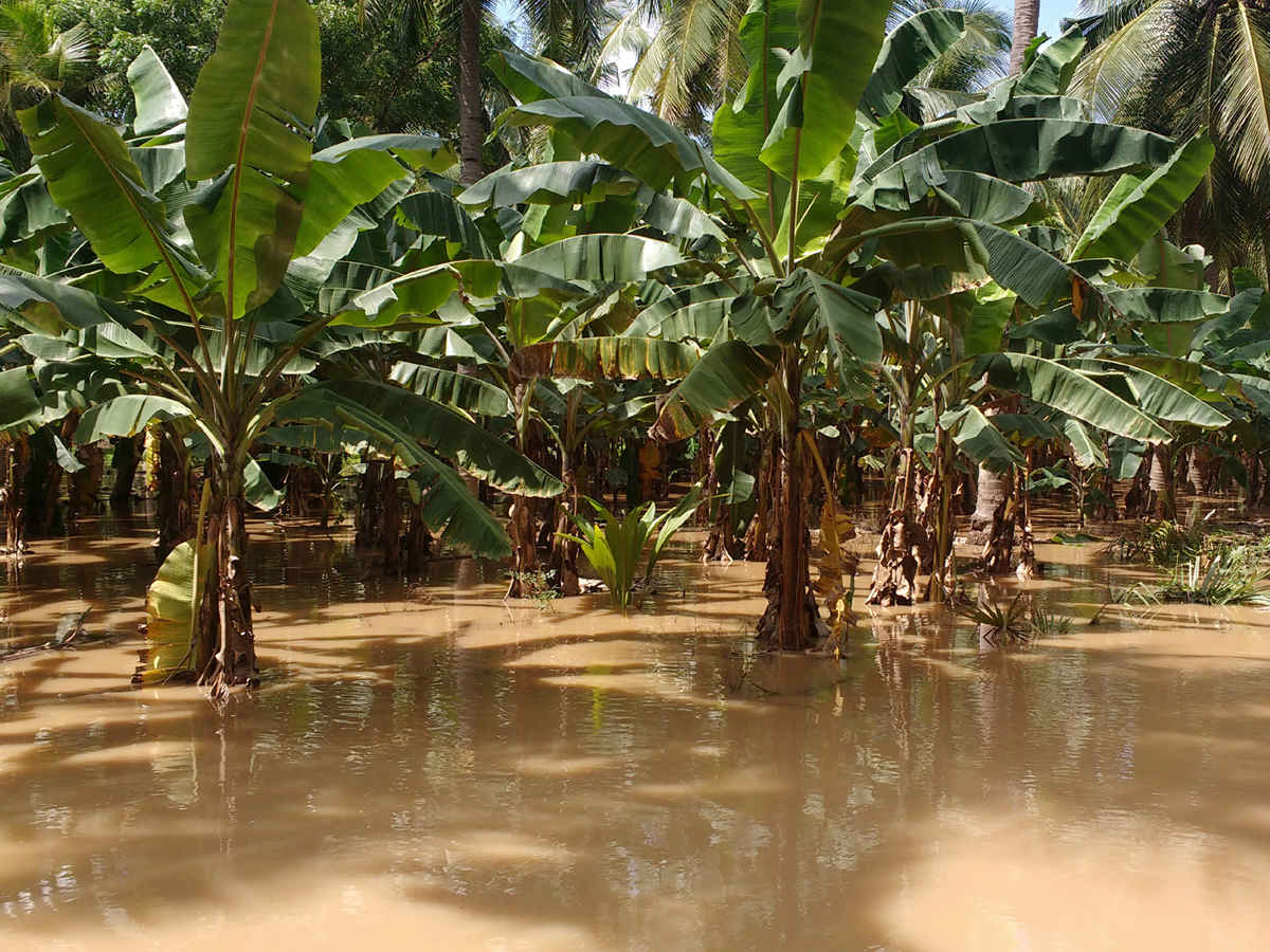 Heavy Rain in Andhra Pradesh Photo Gallery - Sakshi17