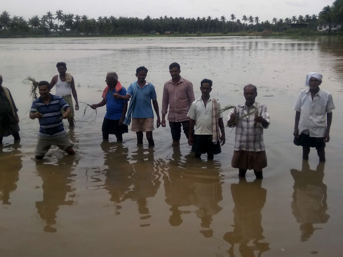 Heavy Rain in Andhra Pradesh Photo Gallery - Sakshi20