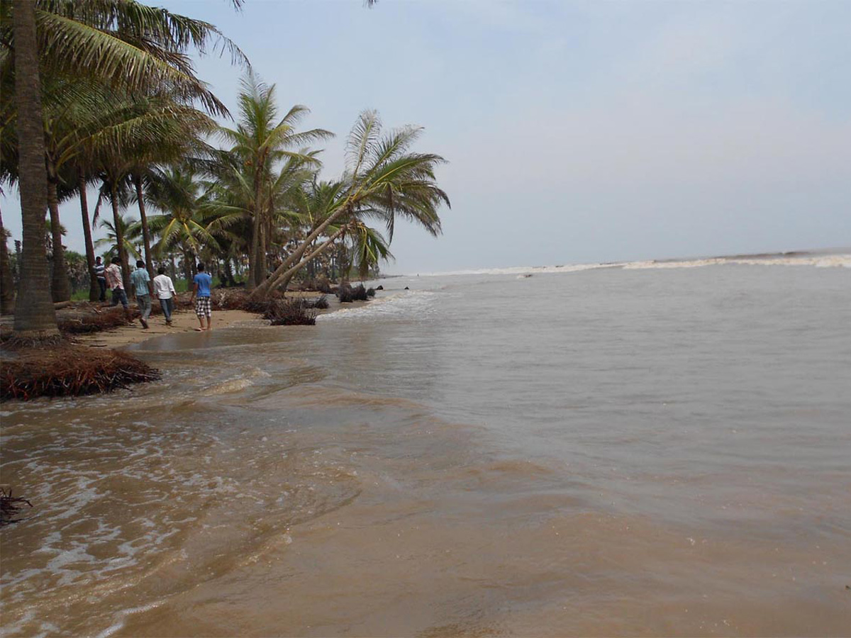 Heavy Rain in Andhra Pradesh Photo Gallery - Sakshi25