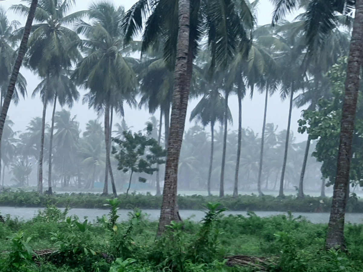 Heavy Rain in Andhra Pradesh Photo Gallery - Sakshi26