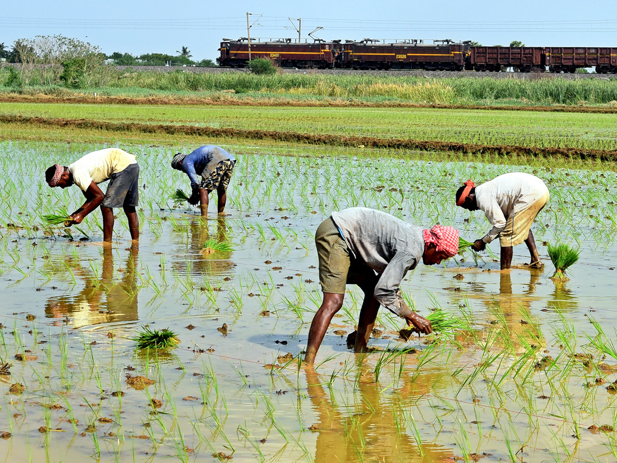 Best photos of The Week in AP and Telangana july 28 to August 04 2019 - Sakshi13