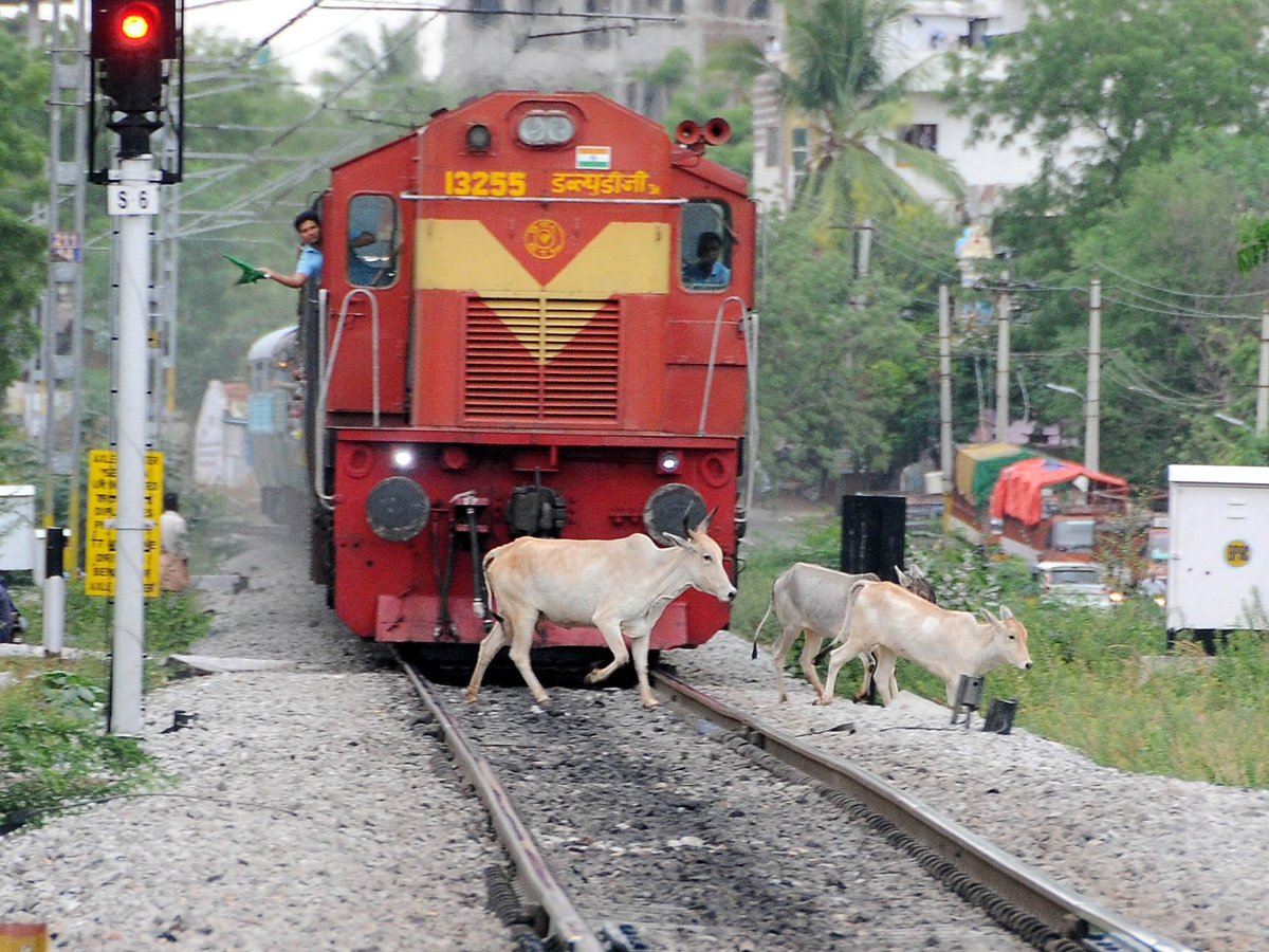 Best photos of The Week in AP and Telangana july 28 to August 04 2019 - Sakshi36