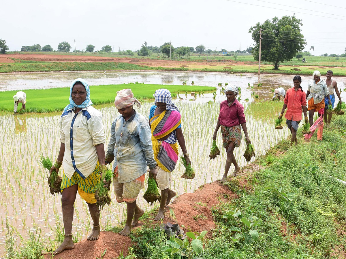 Best photos of The Week in AP and Telangana july 28 to August 04 2019 - Sakshi37