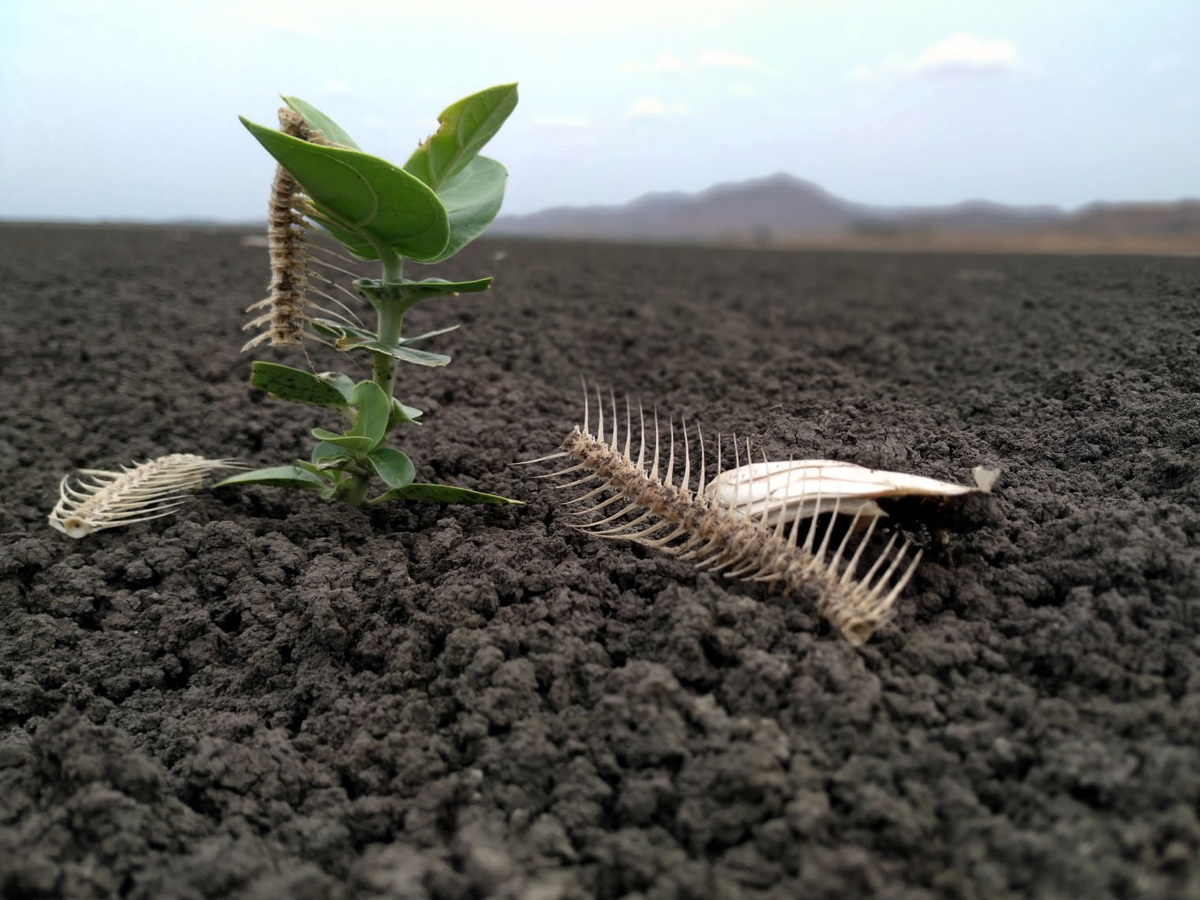 Best photos of The Week in AP and Telangana july 28 to August 04 2019 - Sakshi10