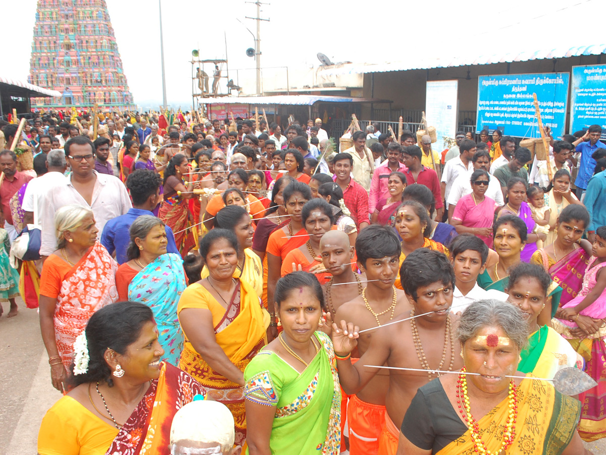 Thai poosam festival in Palani Murugan Temple Photo Gallery - Sakshi1