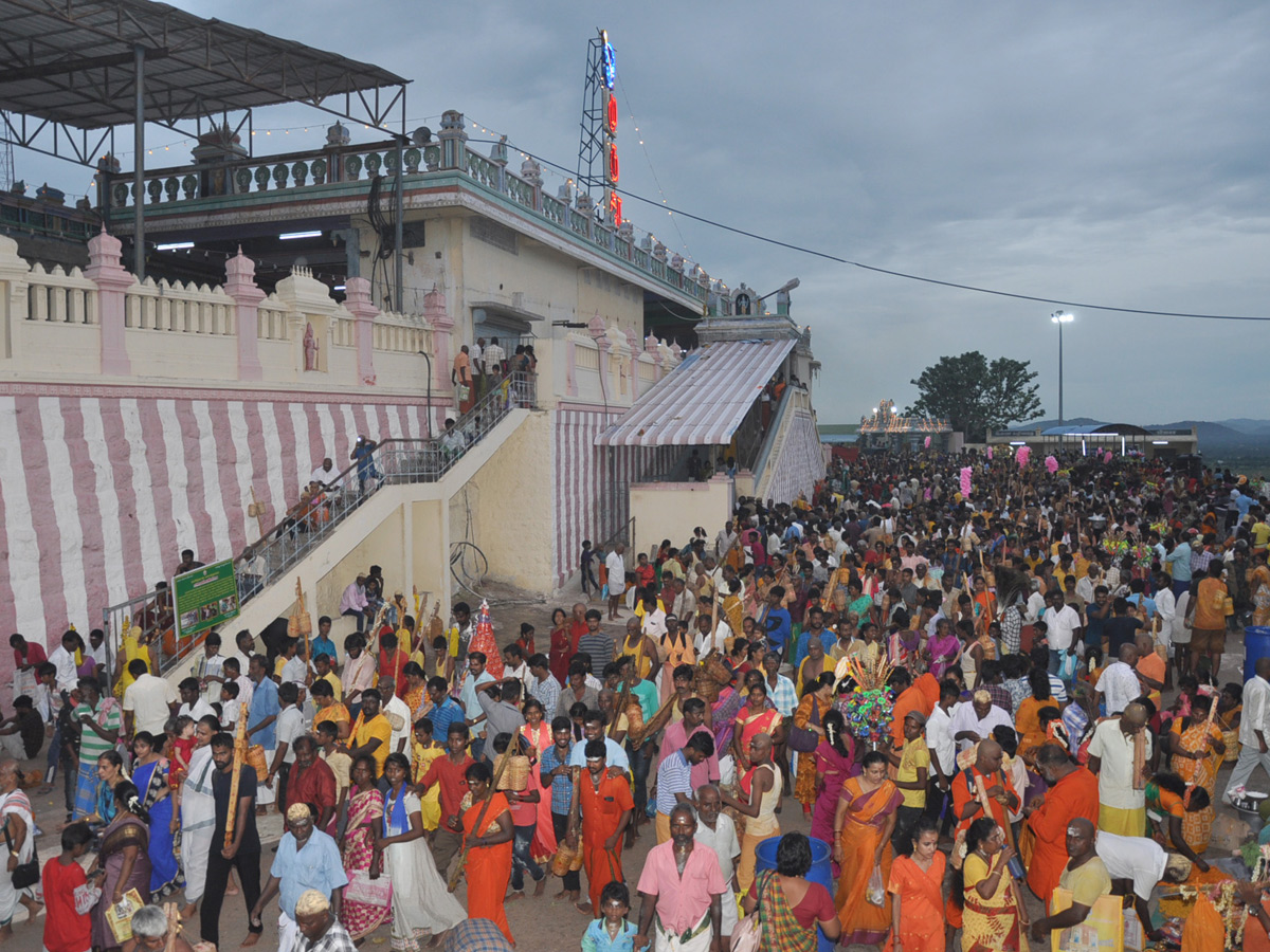 Thai poosam festival in Palani Murugan Temple Photo Gallery - Sakshi14