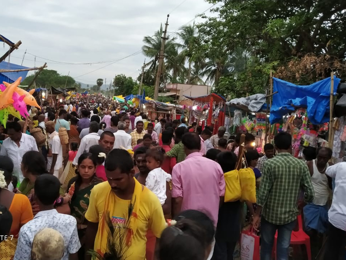 Thai poosam festival in Palani Murugan Temple Photo Gallery - Sakshi21