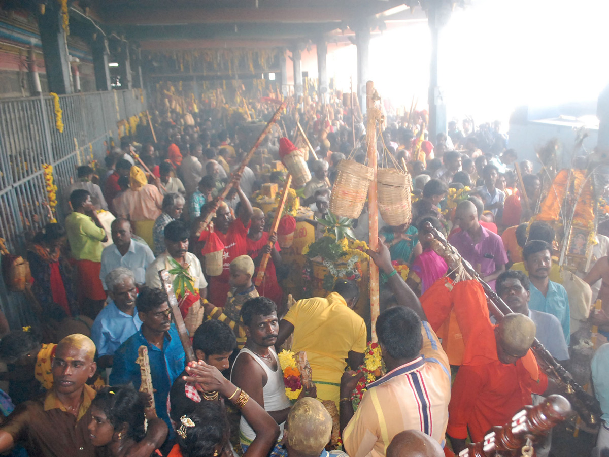 Thai poosam festival in Palani Murugan Temple Photo Gallery - Sakshi28