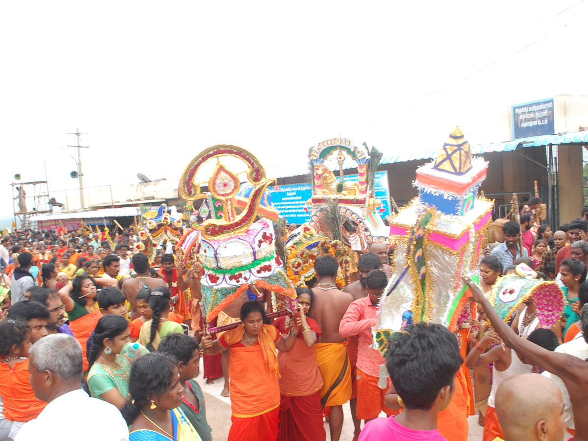 Thai poosam festival in Palani Murugan Temple Photo Gallery - Sakshi5