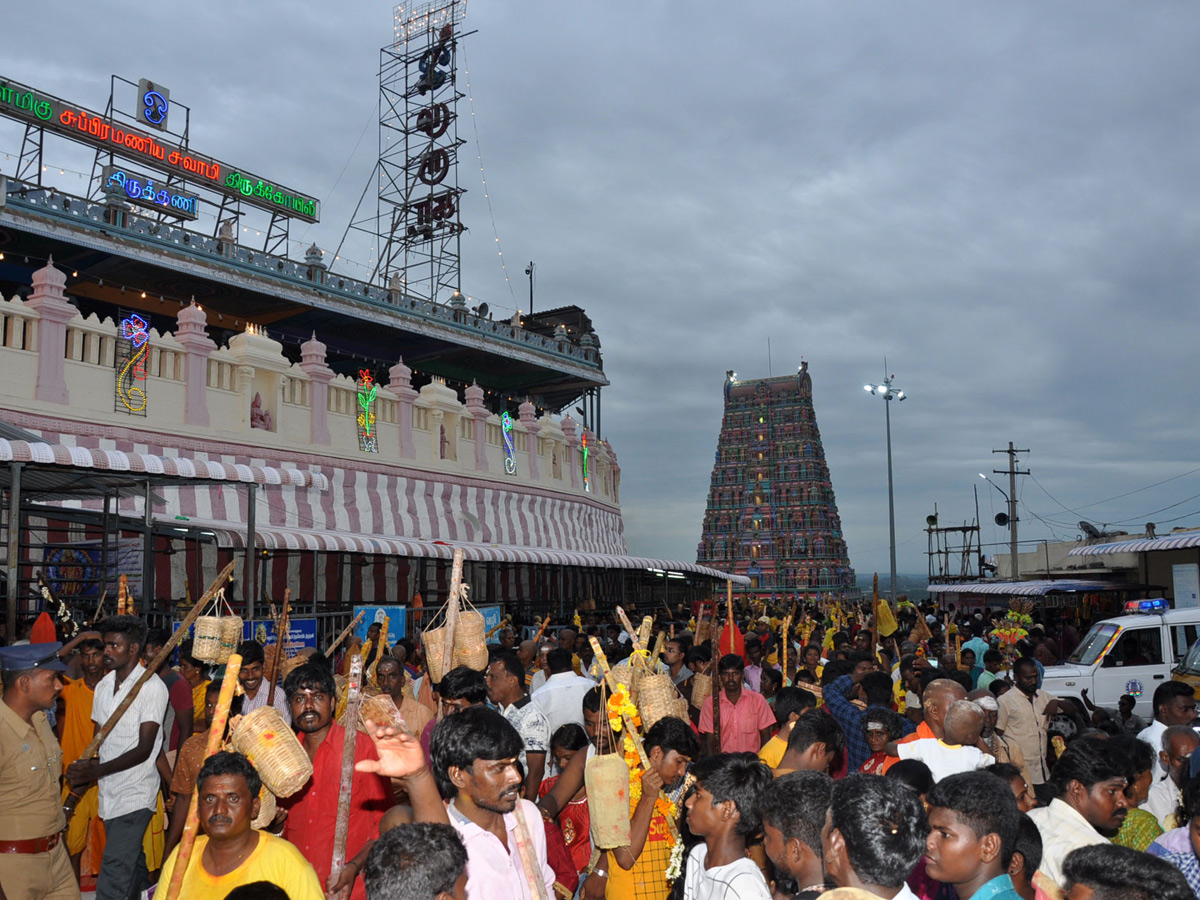 Thai poosam festival in Palani Murugan Temple Photo Gallery - Sakshi8