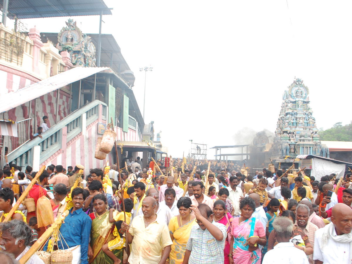 Thai poosam festival in Palani Murugan Temple Photo Gallery - Sakshi9