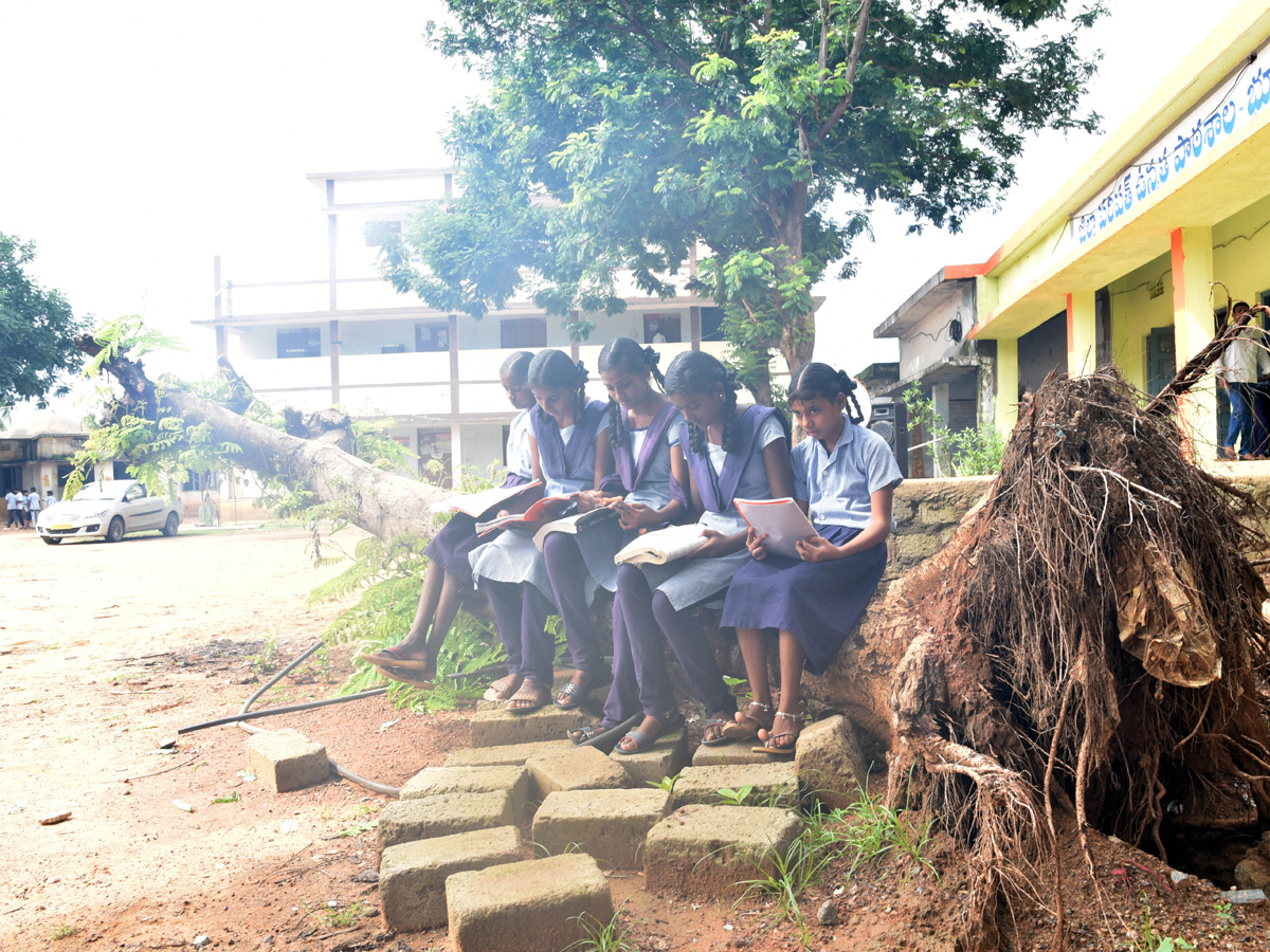 Best photos of The Week in AP and Telangana August 11-08-2019 to August 18-08- 2019 - Sakshi16