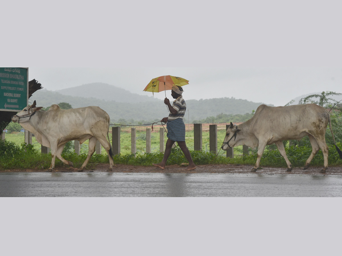 Best photos of The Week in AP and Telangana August 11-08-2019 to August 18-08- 2019 - Sakshi23