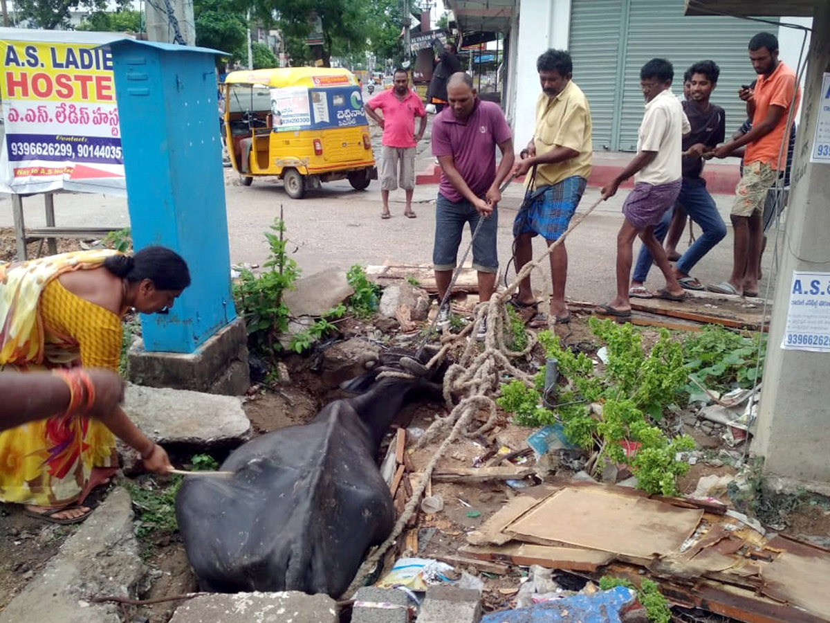 Best photos of The Week in AP and Telangana August 11-08-2019 to August 18-08- 2019 - Sakshi7