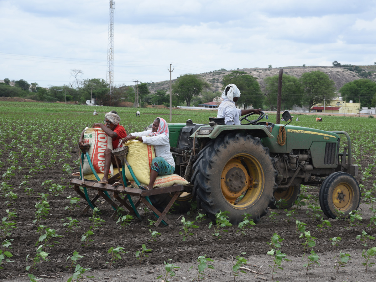 Best photos of The Week in AP and Telangana August 11-08-2019 to August 18-08- 2019 - Sakshi48