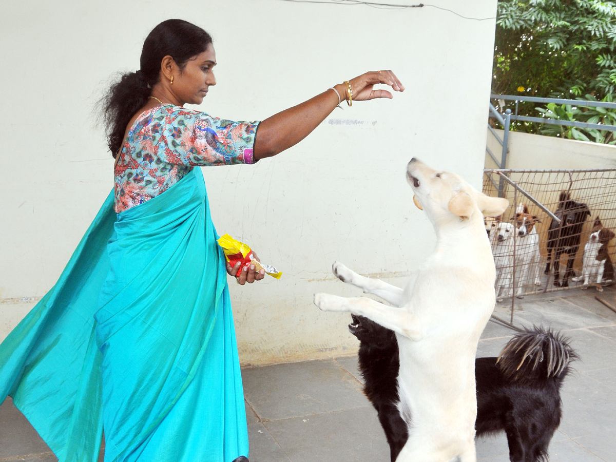 Best photos of The Week in AP and Telangana August 11-08-2019 to August 18-08- 2019 - Sakshi2