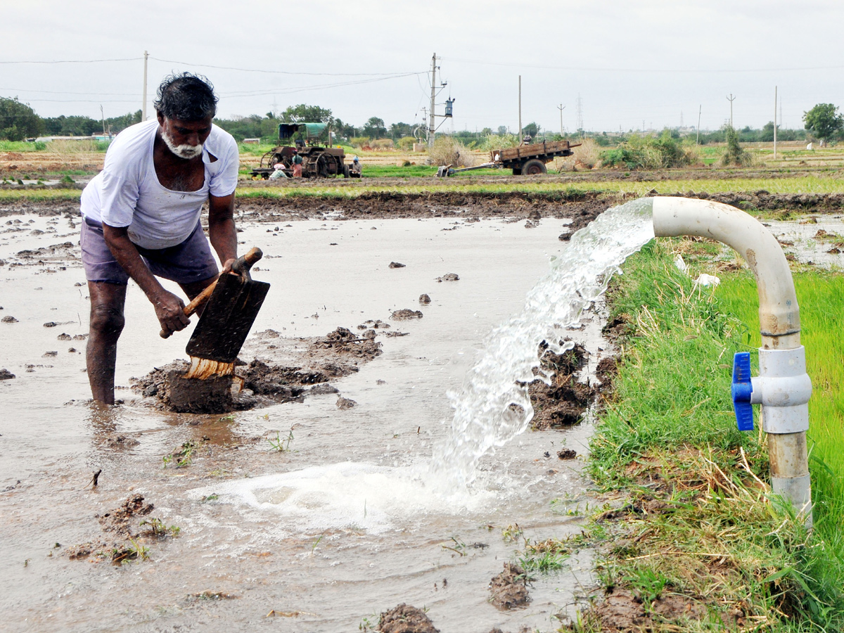 Best photos of The Week in AP and Telangana August 11-08-2019 to August 18-08- 2019 - Sakshi9