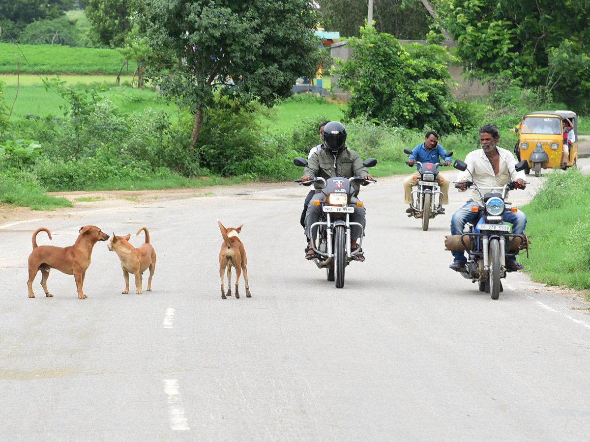 Best images of The Week in AP and Telangana August 18-08-2019 to August 25-08- 2019 - Sakshi15