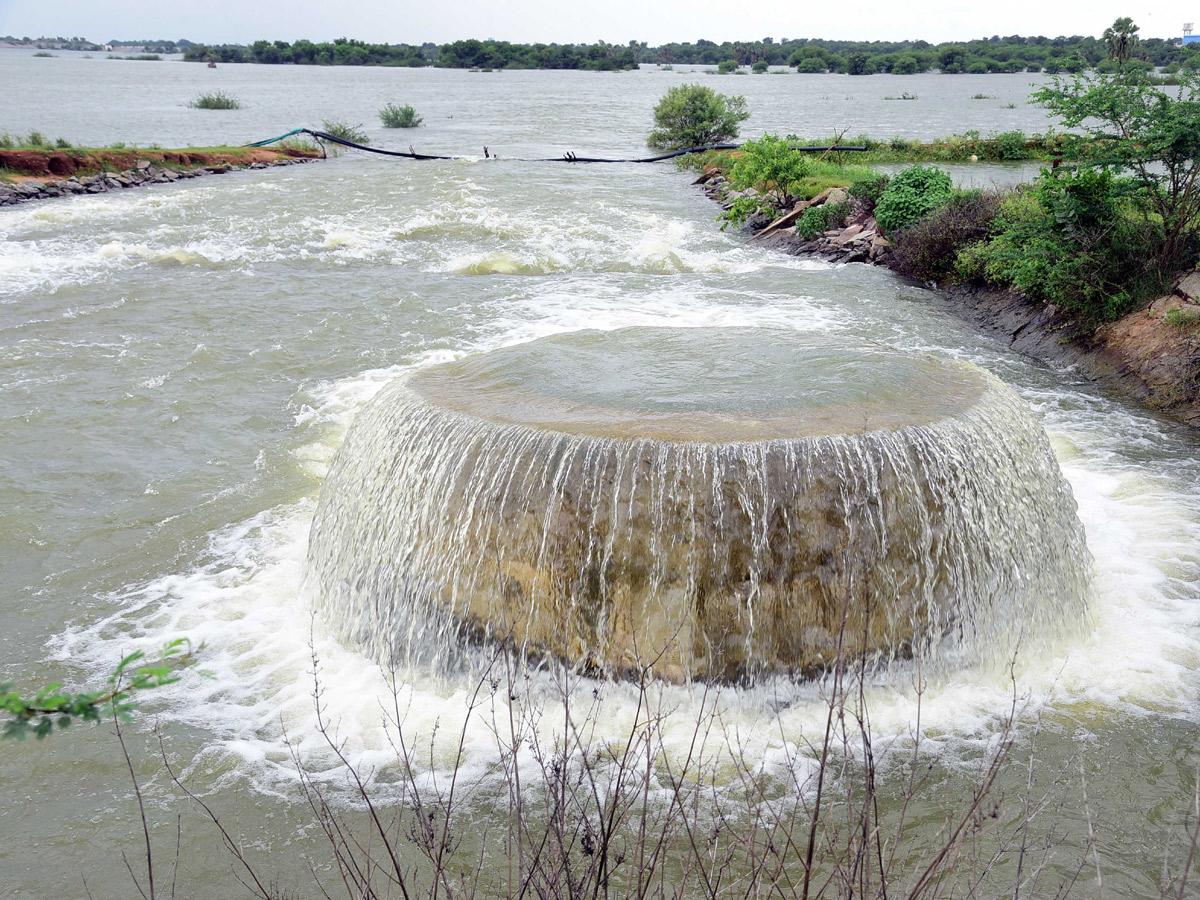 Best images of The Week in AP and Telangana August 18-08-2019 to August 25-08- 2019 - Sakshi16