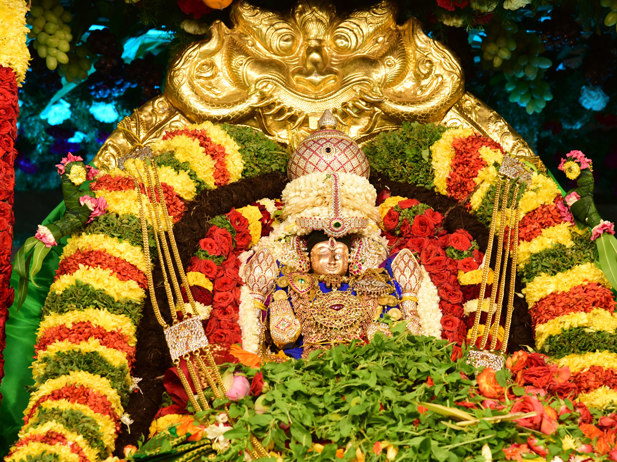 Best images of The Week in AP and Telangana August 18-08-2019 to August 25-08- 2019 - Sakshi32