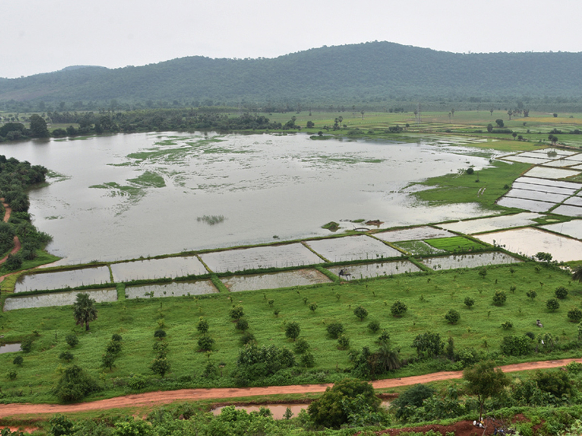 Best Photos of The Week in AP and Telangana August 25-08-2019 to september 01-09- 2019 - Sakshi16