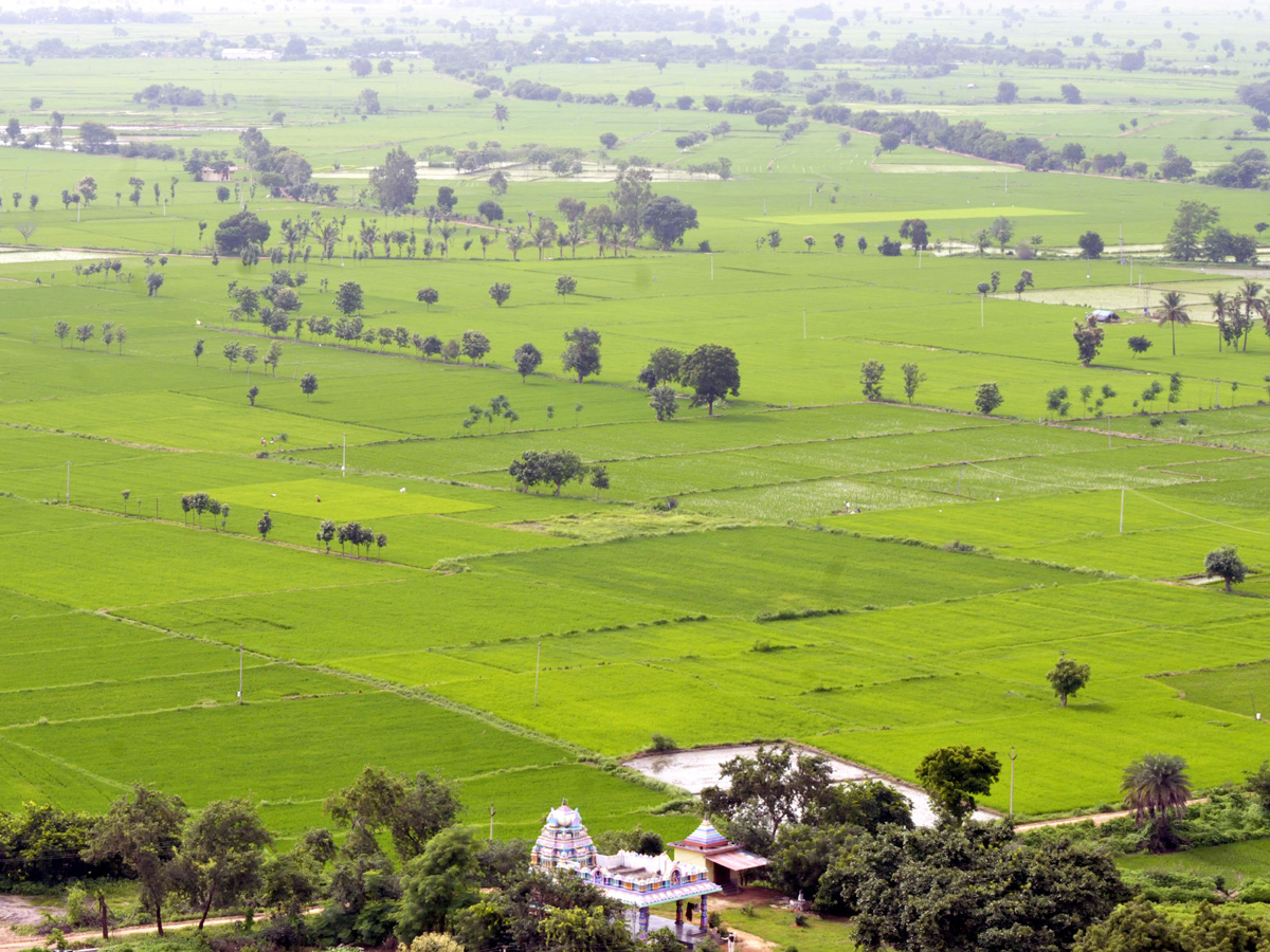 Best Photos of The Week in AP and Telangana August 25-08-2019 to september 01-09- 2019 - Sakshi18