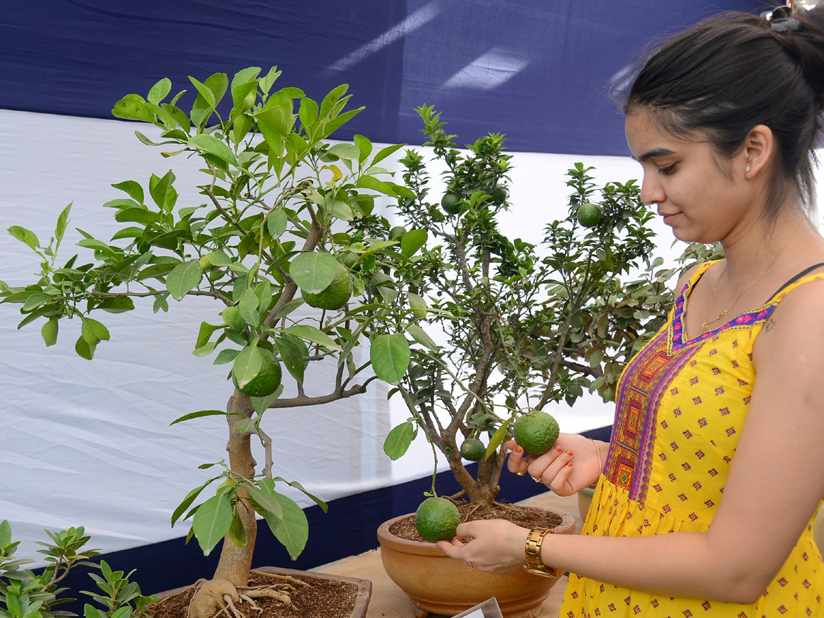 Best Photos of The Week in AP and Telangana August 25-08-2019 to september 01-09- 2019 - Sakshi8