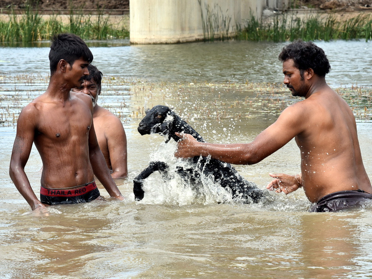Best images of The Week in AP and Telangana August 04 to August 11 2019 - Sakshi21