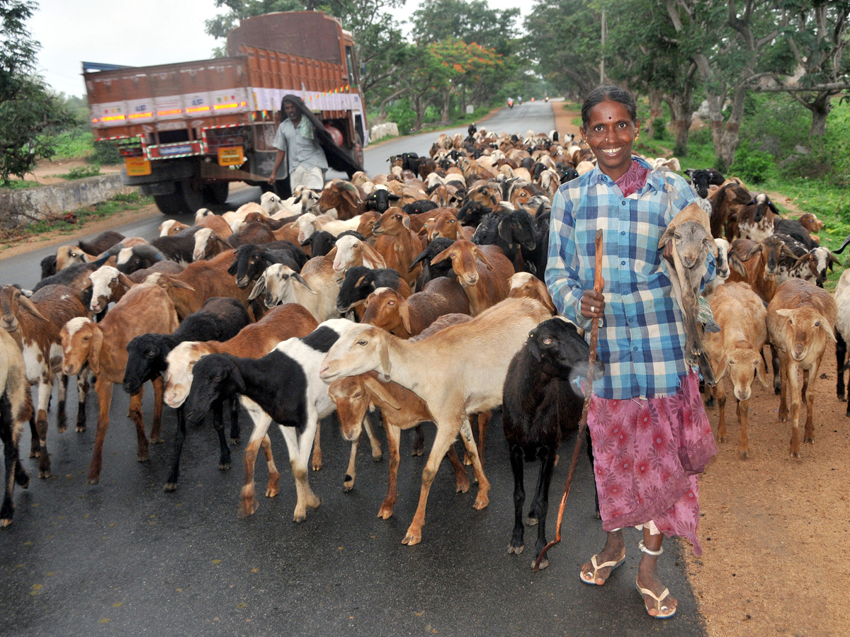 Best images of The Week in AP and Telangana August 04 to August 11 2019 - Sakshi27