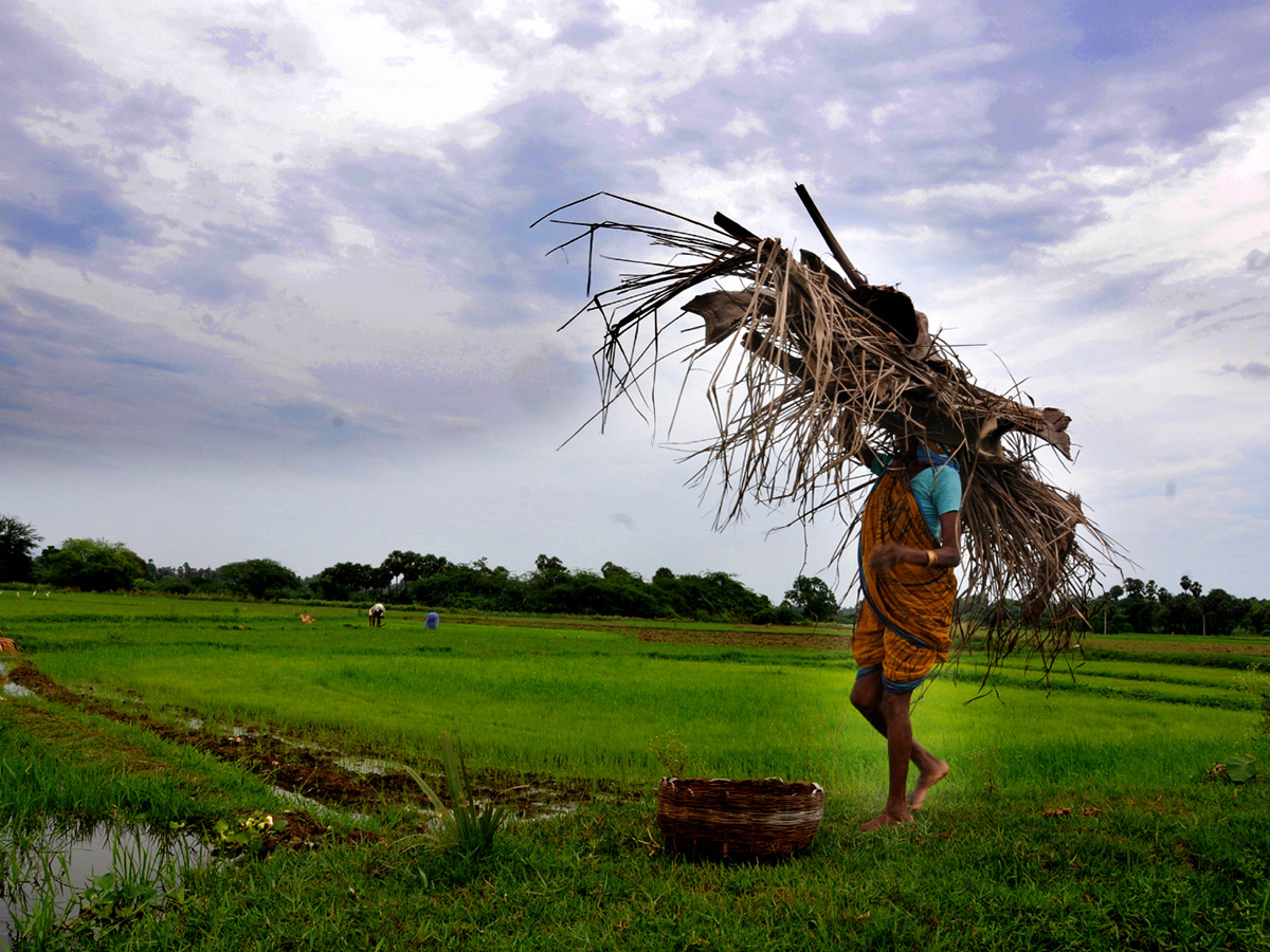 Best images of The Week in AP and Telangana August 04 to August 11 2019 - Sakshi29