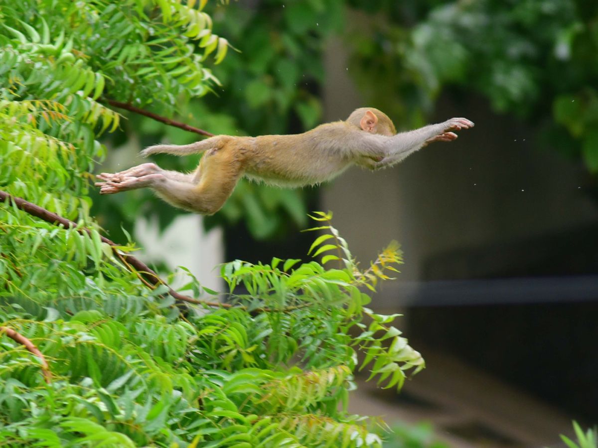 Best images of The Week in AP and Telangana August 04 to August 11 2019 - Sakshi11