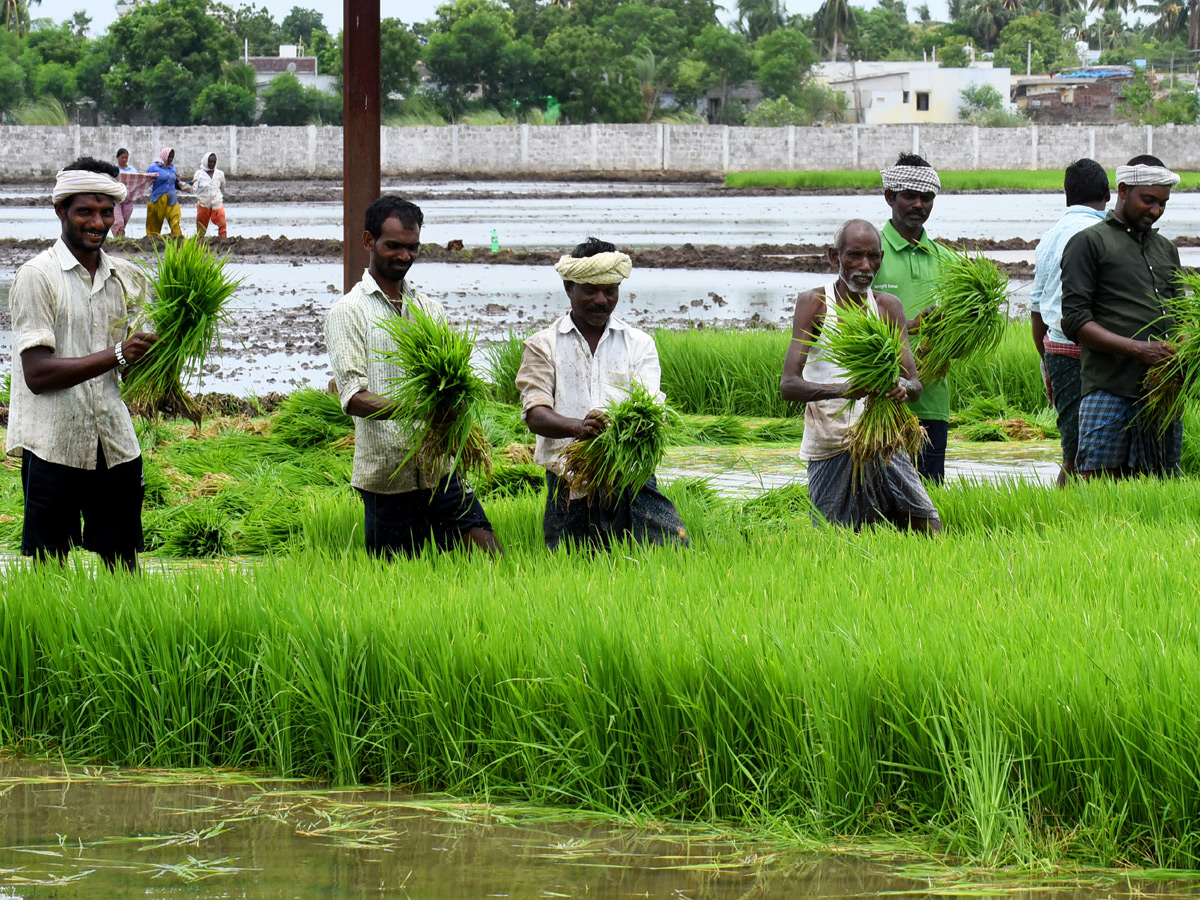 Best images of The Week in AP and Telangana August 04 to August 11 2019 - Sakshi46