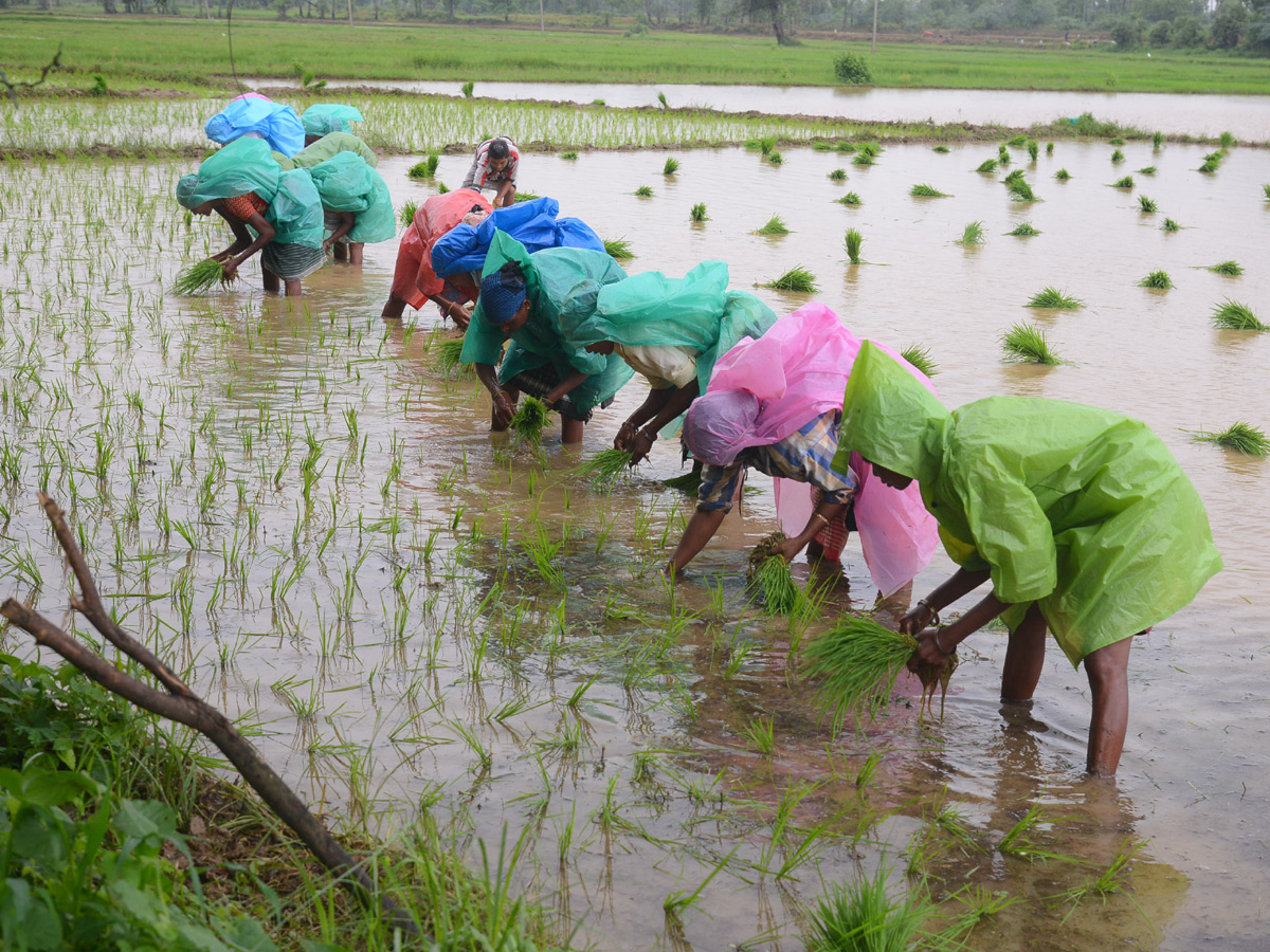 Best images of The Week in AP and Telangana August 04 to August 11 2019 - Sakshi13