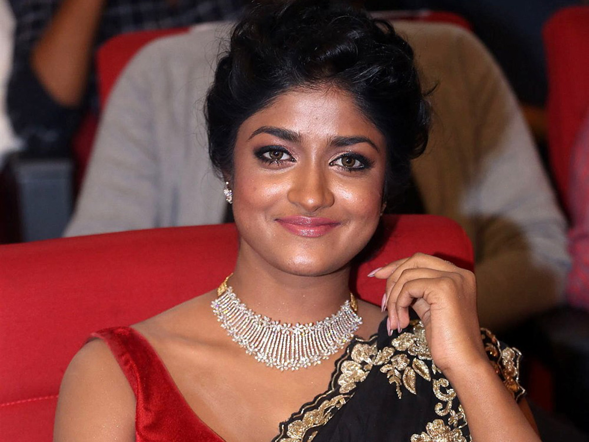 Valmiki Movie Pre Release Event - Sakshi18