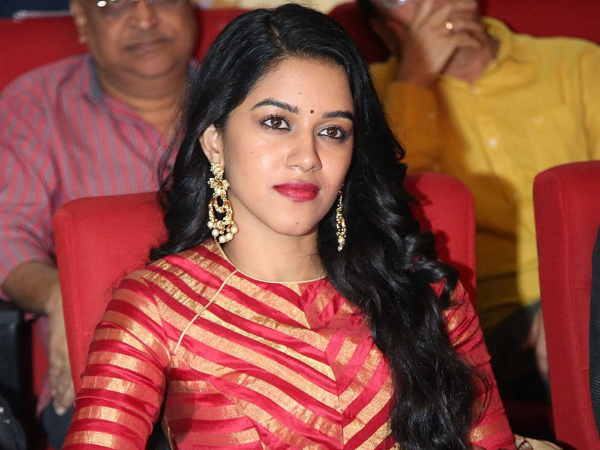Valmiki Movie Pre Release Event - Sakshi8