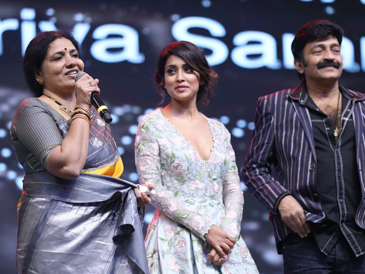 Santosham South Indian Film Awards 2019 PHoto Gallery - Sakshi14