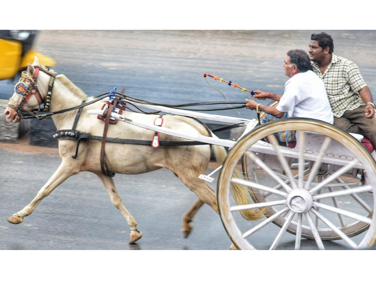 Best pics of The Week in AP and Telangana october 20 -10-2019 to october 27 -10- 2019 - Sakshi13