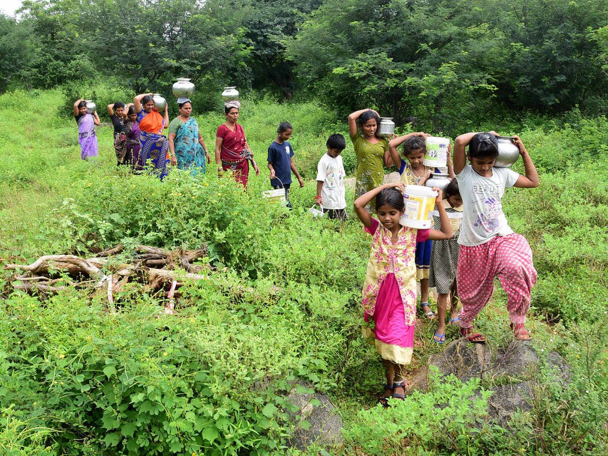 Best pics of The Week in AP and Telangana october 20 -10-2019 to october 27 -10- 2019 - Sakshi15