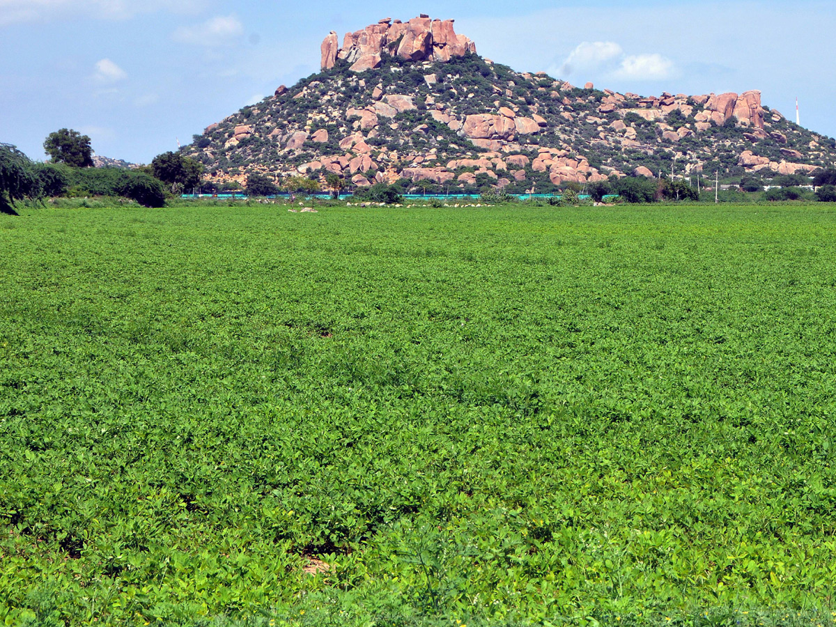 Best pics of The Week in AP and Telangana october 20 -10-2019 to october 27 -10- 2019 - Sakshi5