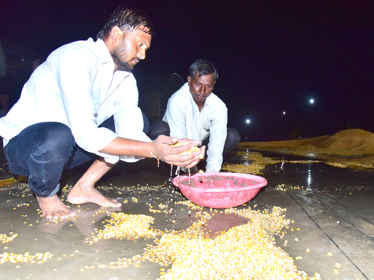 Best pics of The Week in AP and Telangana october 20 -10-2019 to october 27 -10- 2019 - Sakshi29