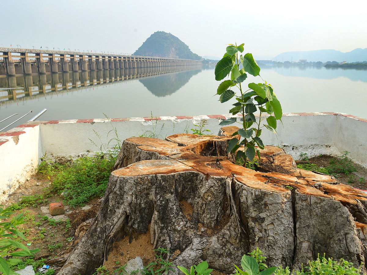 Best pics of The Week in AP and Telangana october 20 -10-2019 to october 27 -10- 2019 - Sakshi33