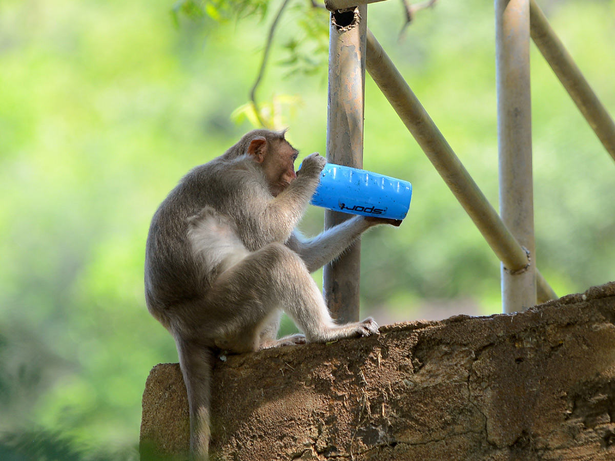 Best pics of The Week in AP and Telangana october 20 -10-2019 to october 27 -10- 2019 - Sakshi38