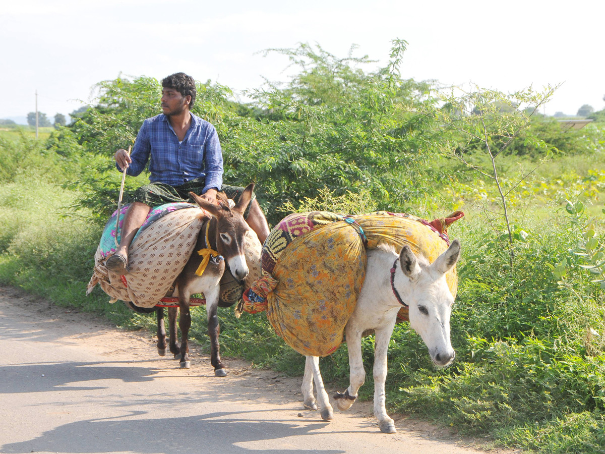 Best pics of The Week in AP and Telangana october 20 -10-2019 to october 27 -10- 2019 - Sakshi7